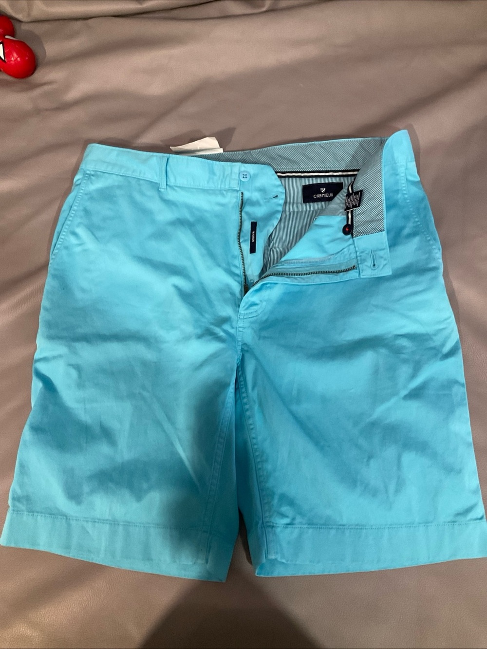 Daniel Cremieux Men's Turquoise Casual Cargo Shorts
